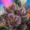 Foto red strawberry banana auto