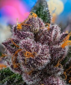 Foto red strawberry banana auto