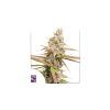Foto Strawberry cookies 100% dutch passion