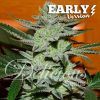 Foto Unknown kush early version 100% delicious