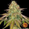 Foto Wedding cake barney´s farm seeds