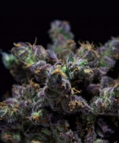 Foto Zkiem 100% r-kiem seeds