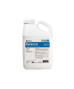 FOTO BALANCE ATHENA