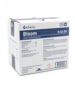 Foto pro bloom athena