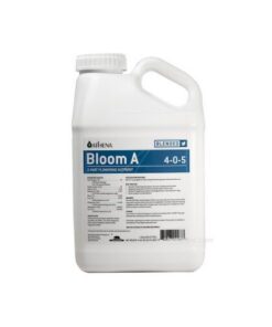 Foto bloom a athena