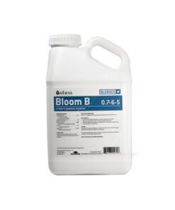 FOTO BLOOM B ATHENA