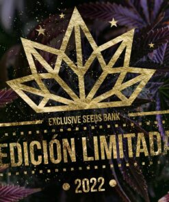 Foto Motorbreath x oxus 100% exclusive seeds bank