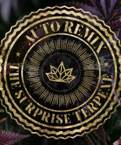 Foto The surprise terpene 100% exclusive seeds bank