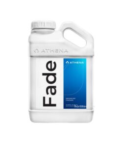 Foto Fade athena