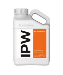 Foto Ipw Atena