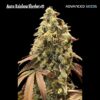 Foto Auto Rainbow Sherbet #11 Advanced Seeds