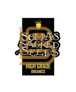Foto Somango Soma Seeds