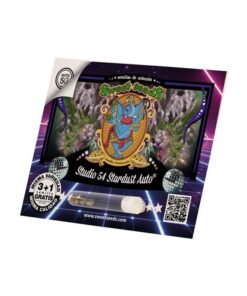 Foto Studio 54 Stardust Auto Sweet Seeds