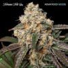 Foto Forbidden Fruit Cake fem. Advanced Seeds