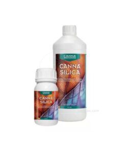 Foto Canna Silica